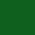 dunkelgrün / paramedic green